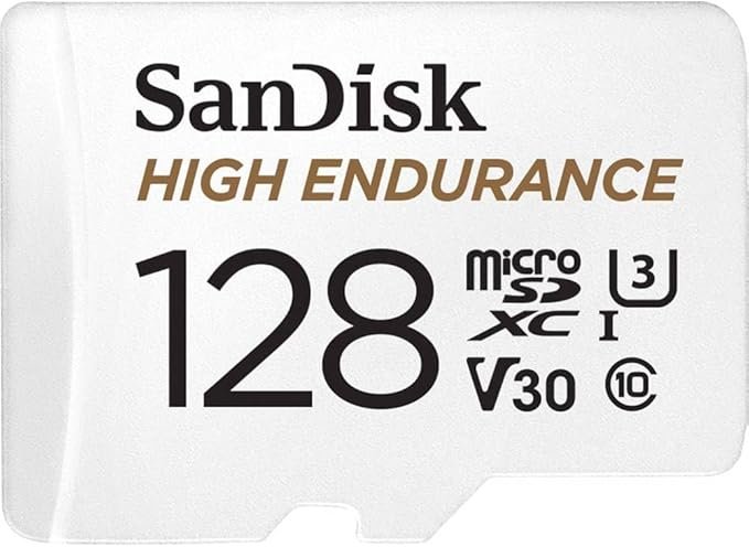 SanDisk 128 Go High Endurance