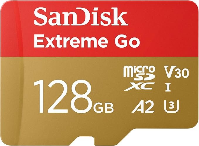 SanDisk Extreme Go 128 Go microSDXC