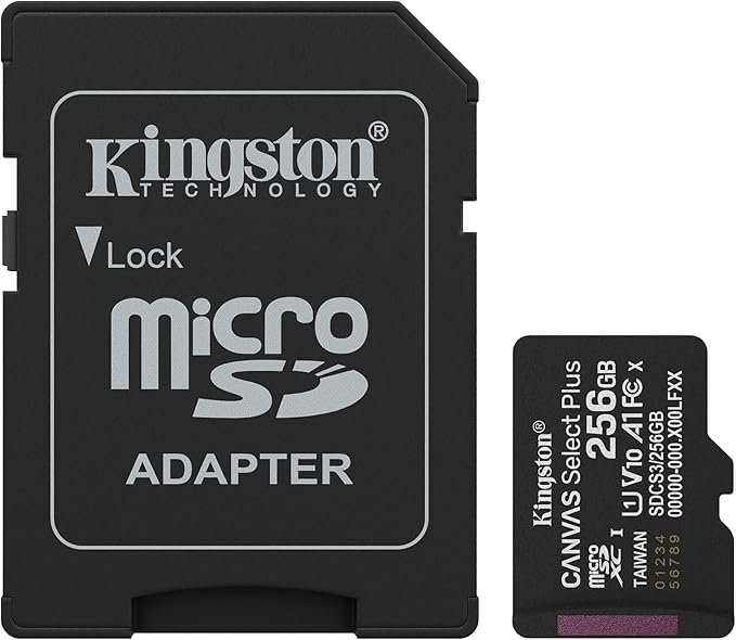 Kingston Canvas Select Plus 256 Go