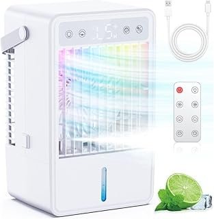 Climatiseur Mobile Portable